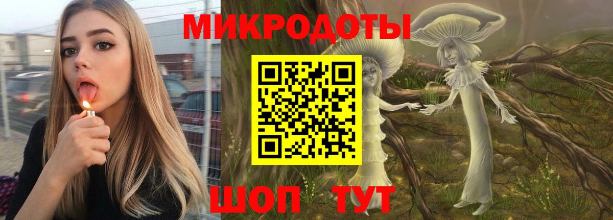 Псилоцибиновые грибы Cubensis Иваново